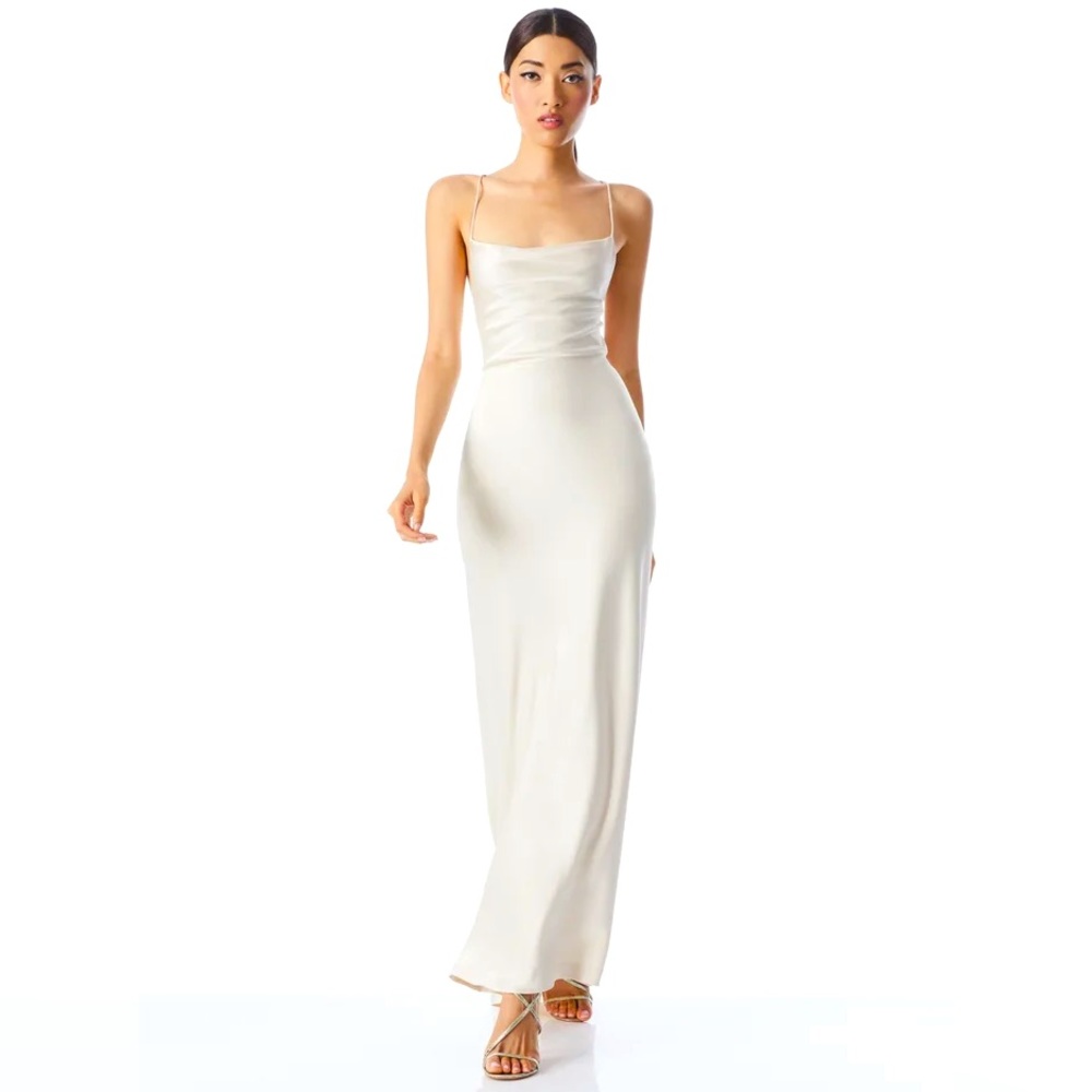 Alice & Olivia Evening Gown